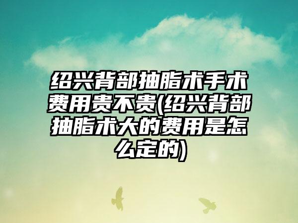 绍兴背部抽脂术手术费用贵不贵(绍兴背部抽脂术大的费用是怎么定的)