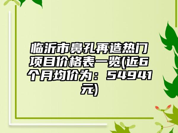 临沂市鼻孔再造热门项目价格表一览(近6个月均价为：54941元)