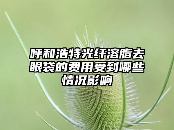 呼和浩特光纤溶脂去眼袋的费用受到哪些情况影响