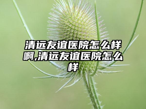 清远友谊医院怎么样啊,清远友谊医院怎么样