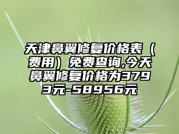 天津鼻翼修复价格表（费用）免费查询,今天鼻翼修复价格为3793元-58956元