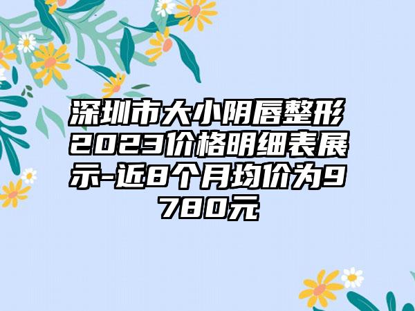 深圳市大小阴唇整形2023价格明细表展示-近8个月均价为9780元