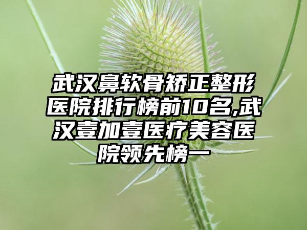 武汉鼻软骨矫正整形医院排行榜前10名,武汉壹加壹医疗美容医院领跑榜一