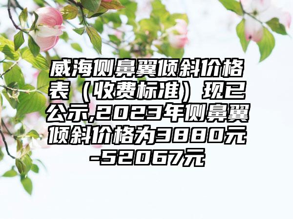 威海侧鼻翼倾斜价格表（收费标准）现已公示,2023年侧鼻翼倾斜价格为3880元-52067元