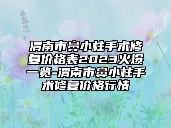 渭南市鼻小柱手术修复价格表2023火爆一览-渭南市鼻小柱手术修复价格行情