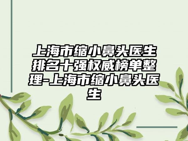 上海市缩小鼻头医生排名十强权威榜单整理-上海市缩小鼻头医生