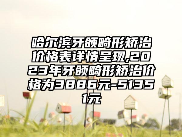 哈尔滨牙颌畸形矫治价格表详情呈现,2023年牙颌畸形矫治价格为3886元-51351元