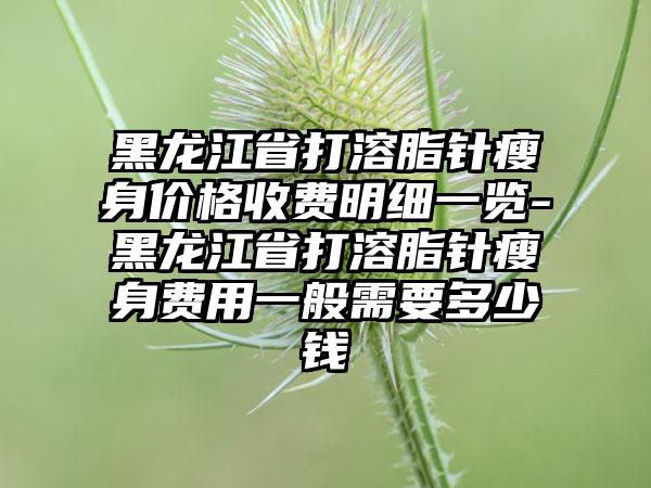 黑龙江省打溶脂针瘦身价格收费明细一览-黑龙江省打溶脂针瘦身费用一般需要多少钱