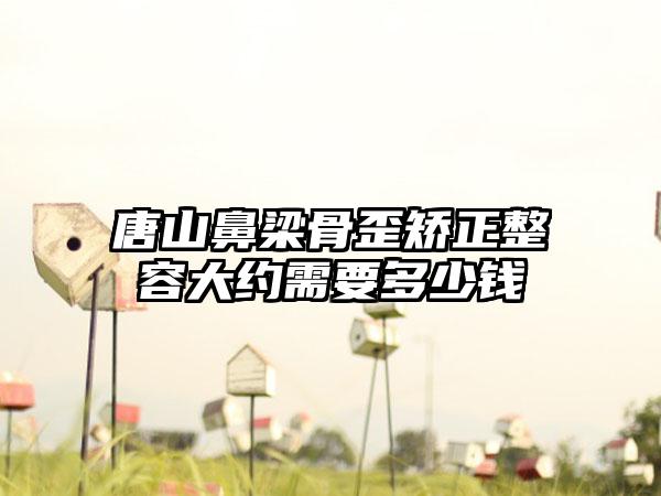 唐山鼻梁骨歪矫正整容大约需要多少钱