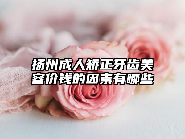 扬州成人矫正牙齿美容价钱的因素有哪些