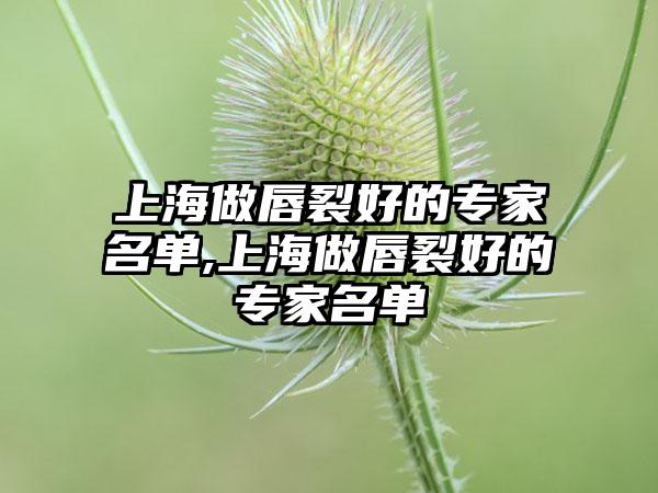 上海做唇裂好的骨干医生名单,上海做唇裂好的骨干医生名单