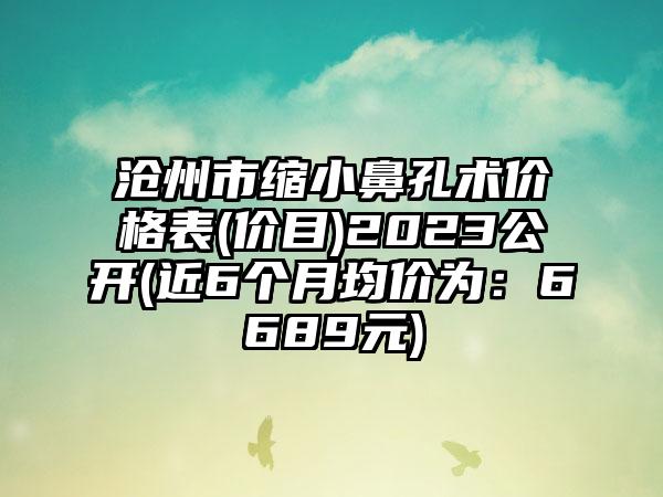 沧州市缩小鼻孔术价格表(价目)2023公开(近6个月均价为：6689元)