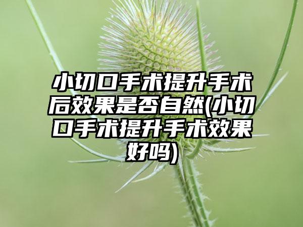 小切口手术提升手术后成果是否自然(小切口手术提升手术成果好吗)