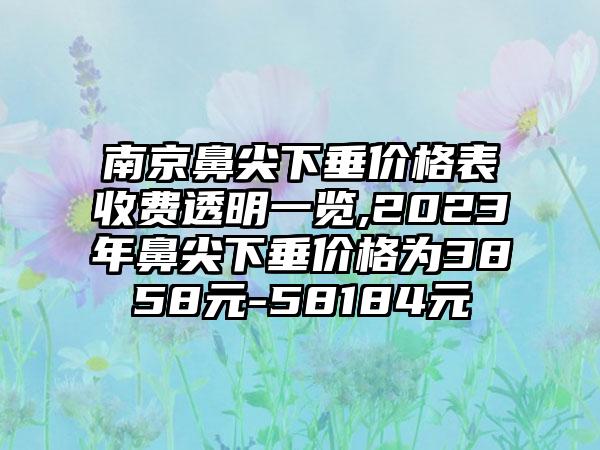 南京鼻尖下垂价格表收费透明一览,2023年鼻尖下垂价格为3858元-58184元