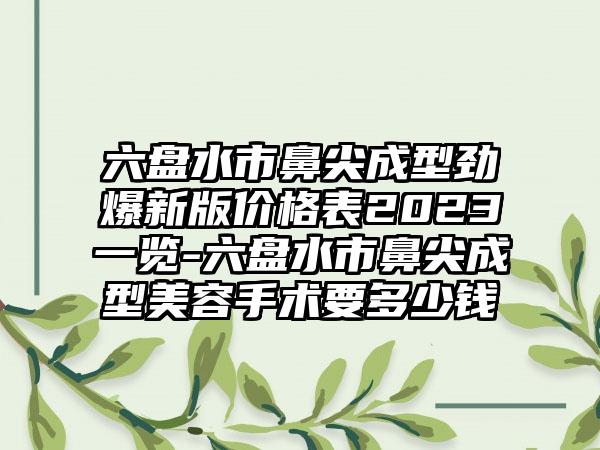 六盘水市鼻尖成型劲爆新版价格表2023一览-六盘水市鼻尖成型美容手术要多少钱