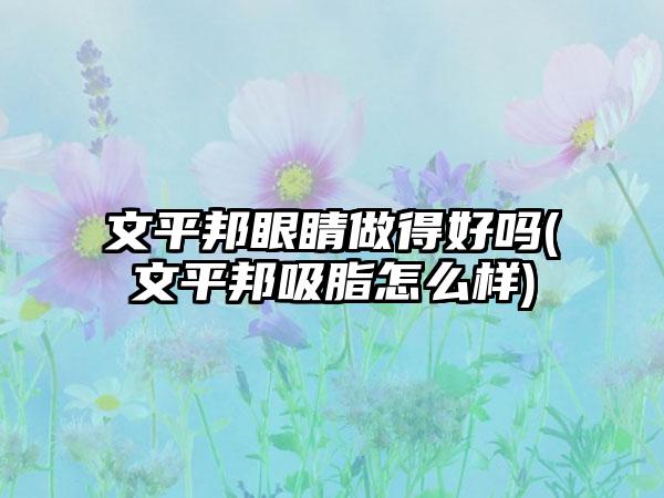 文平邦眼睛做得好吗(文平邦吸脂怎么样)