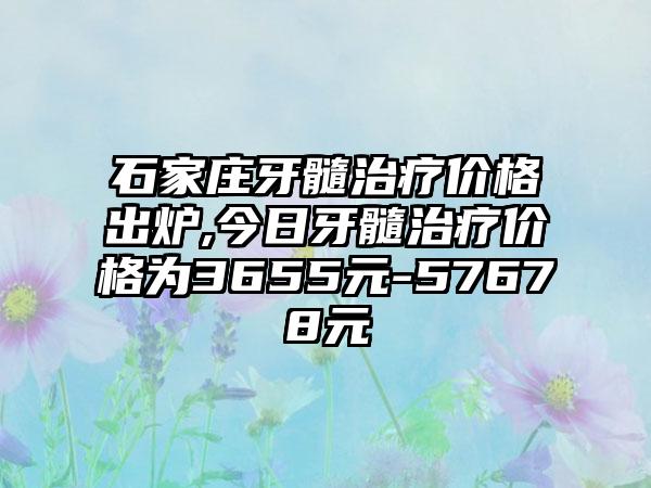 石家庄牙髓治疗价格出炉,今日牙髓治疗价格为3655元-57678元