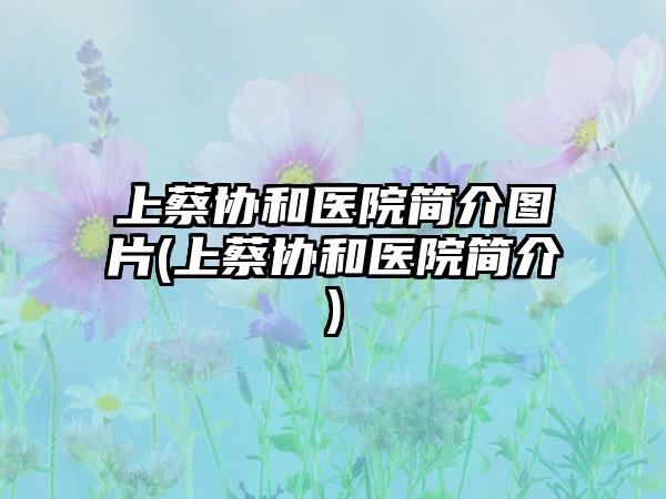 上蔡协和医院简介图片(上蔡协和医院简介)