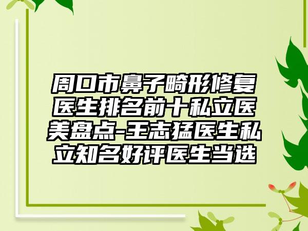 周口市鼻子畸形修复医生排名前十私立医美盘点-王志猛医生私立有名好评医生当选