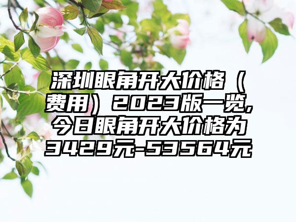 深圳眼角开大价格（费用）2023版一览,今日眼角开大价格为3429元-53564元