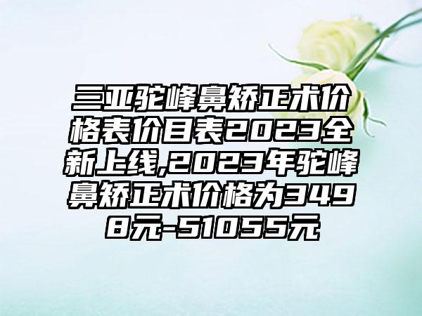 三亚驼峰鼻矫正术价格表价目表2023全新上线,2023年驼峰鼻矫正术价格为3498元-51055元