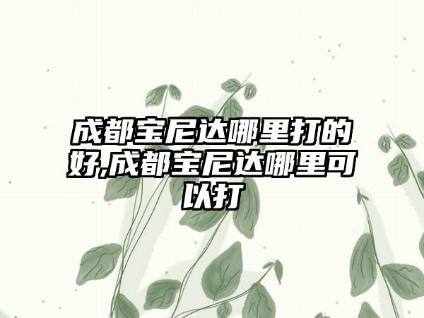 成都宝尼达哪里打的好,成都宝尼达哪里可以打