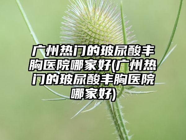 广州热门的玻尿酸丰胸医院哪家好(广州热门的玻尿酸丰胸医院哪家好)