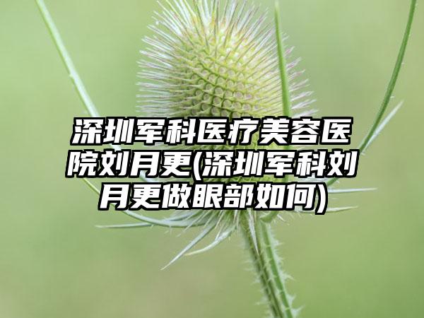 深圳军科医疗美容医院刘月更(深圳军科刘月更做眼部如何)