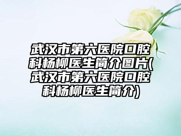 武汉市第六医院口腔科杨柳医生简介图片(武汉市第六医院口腔科杨柳医生简介)