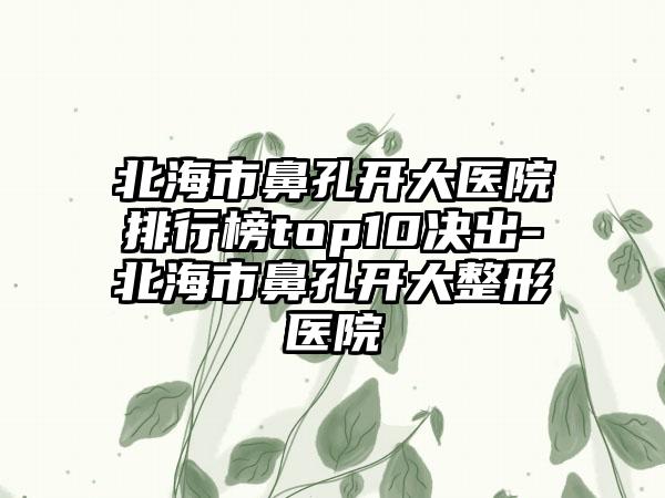北海市鼻孔开大医院排行榜top10决出-北海市鼻孔开大整形医院
