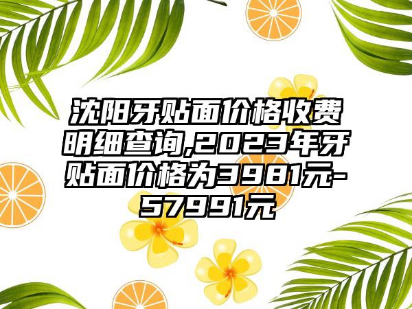 沈阳牙贴面价格收费明细查询,2023年牙贴面价格为3981元-57991元