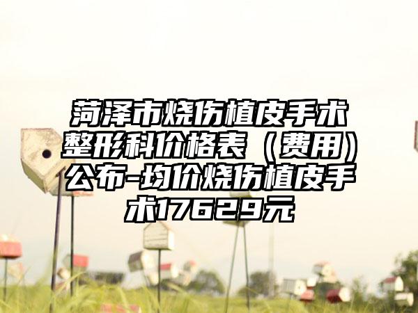 菏泽市烧伤植皮手术整形科价格表（费用）公布-均价烧伤植皮手术17629元