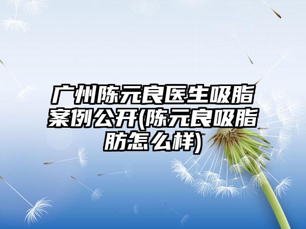 广州陈元良医生吸脂实例公开(陈元良吸脂肪怎么样)