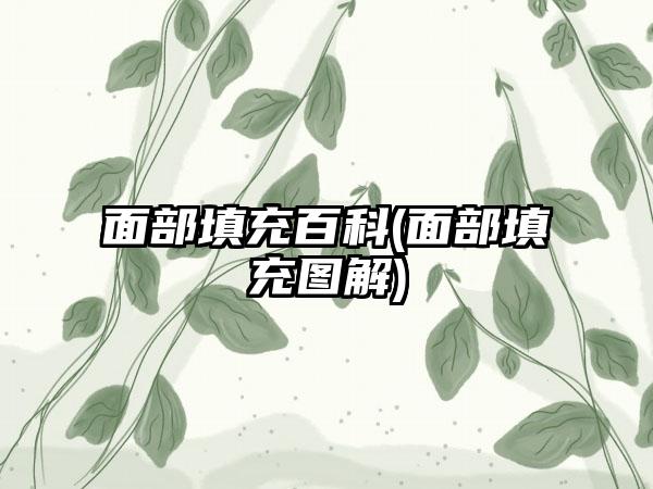 面部填充百科(面部填充图解)