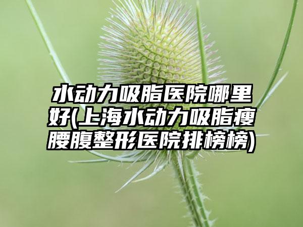 水动力吸脂医院哪里好(上海水动力吸脂瘦腰腹整形医院排榜榜)