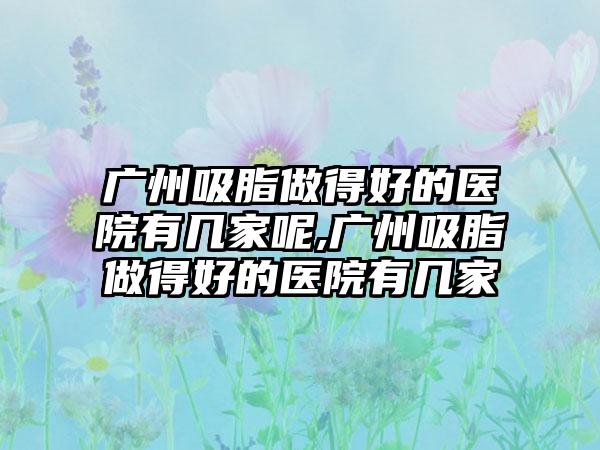 广州吸脂做得好的医院有几家呢,广州吸脂做得好的医院有几家