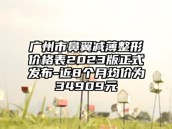 广州市鼻翼减薄整形价格表2023版正式发布-近8个月均价为34909元