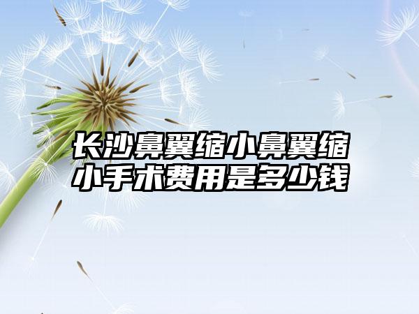 长沙鼻翼缩小鼻翼缩小手术费用是多少钱