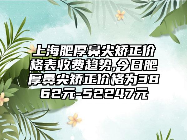 上海肥厚鼻尖矫正价格表收费趋势,今日肥厚鼻尖矫正价格为3862元-52247元