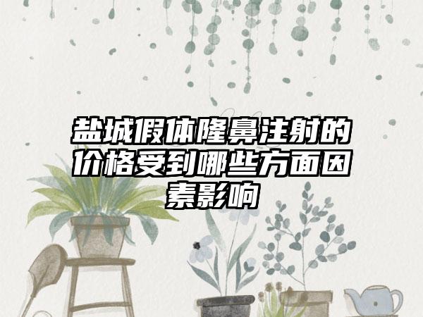 盐城假体隆鼻注射的价格受到哪些方面因素影响