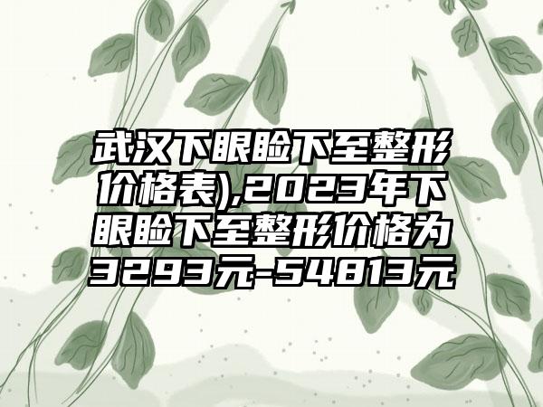 武汉下眼睑下至整形价格表),2023年下眼睑下至整形价格为3293元-54813元