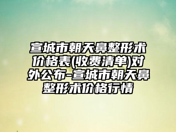 宣城市朝天鼻整形术价格表(收费清单)对外公布-宣城市朝天鼻整形术价格行情