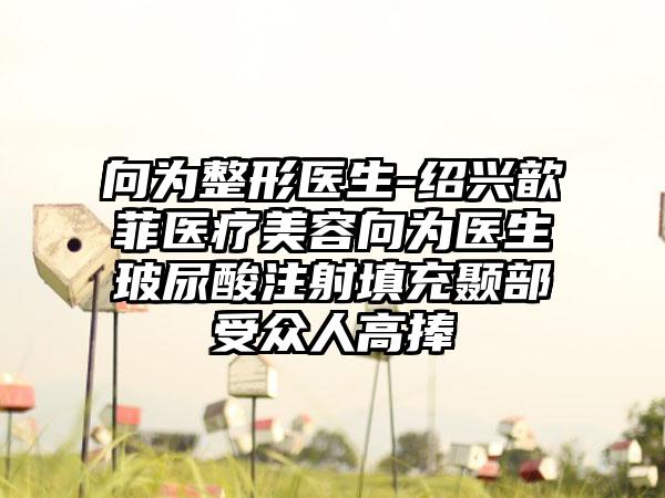 向为整形医生-绍兴歆菲医疗美容向为医生玻尿酸注射填充颞部受众人高捧