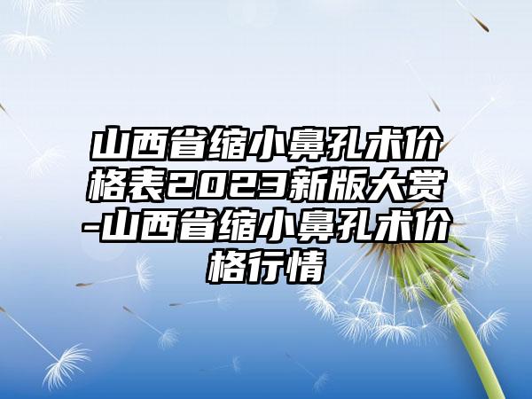 山西省缩小鼻孔术价格表2023新版大赏-山西省缩小鼻孔术价格行情