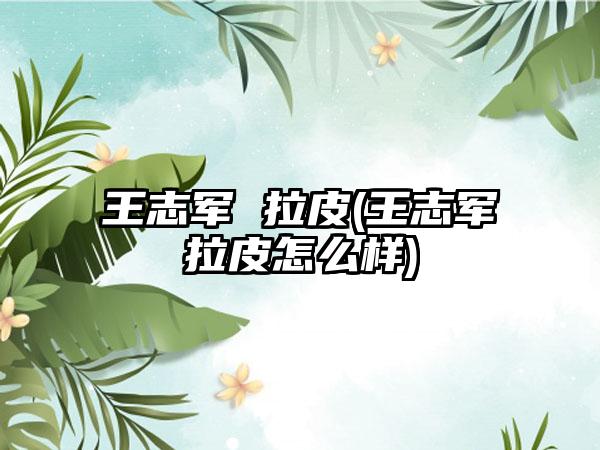 王志军 拉皮(王志军拉皮怎么样)