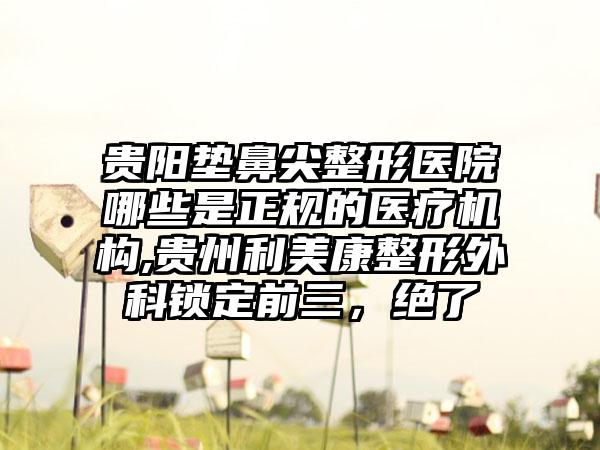 贵阳垫鼻尖整形医院哪些是正规的医疗机构,贵州利美康整形外科锁定前三，绝了