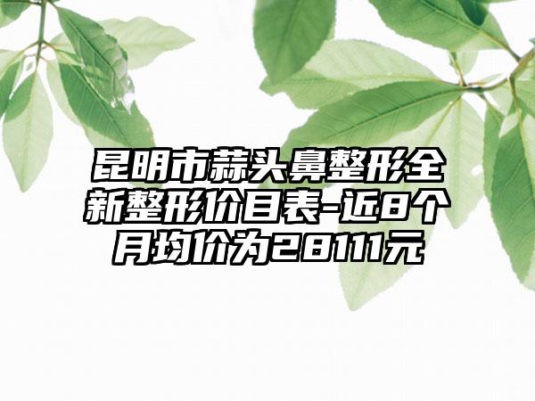 昆明市蒜头鼻整形全新整形价目表-近8个月均价为28111元