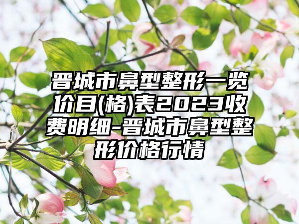 晋城市鼻型整形一览价目(格)表2023收费明细-晋城市鼻型整形价格行情