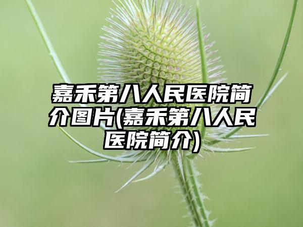 嘉禾第八人民医院简介图片(嘉禾第八人民医院简介)