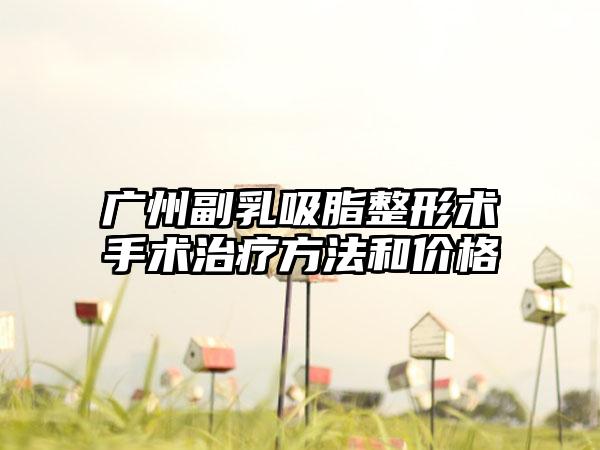 广州副乳吸脂整形术手术治疗方法和价格